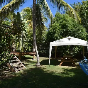 https://kazatipunch.comcaribbean.com